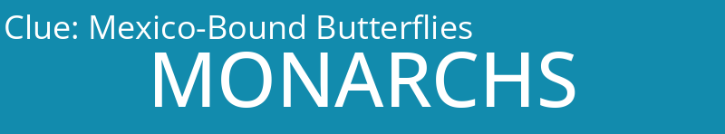 Mexico-Bound Butterflies