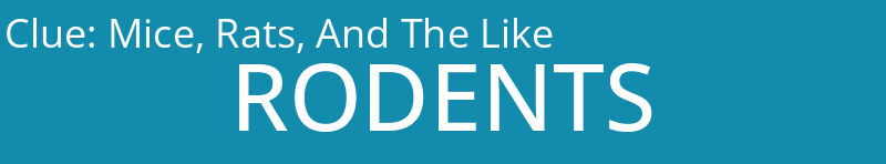 Mice, Rats, And The Like