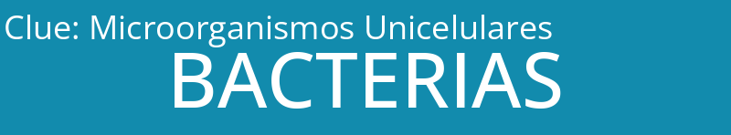 Microorganismos Unicelulares
