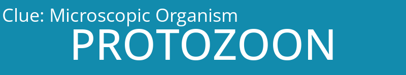 Microscopic Organism