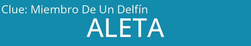 Miembro De Un Delfín
