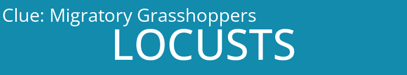 Migratory Grasshoppers