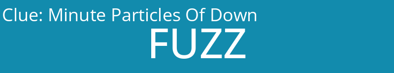 Minute Particles Of Down