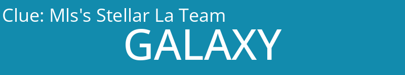 Mls's Stellar La Team