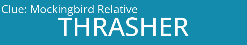 Mockingbird Relative