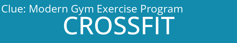 Modern Gym Exercise Program