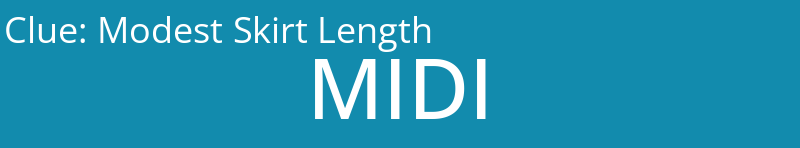 Modest Skirt Length