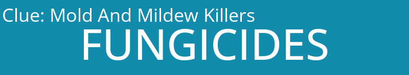 Mold And Mildew Killers