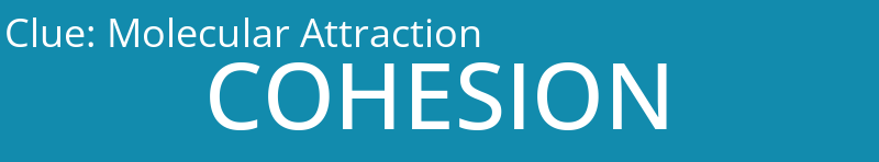 Molecular Attraction