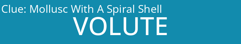 Mollusc With A Spiral Shell