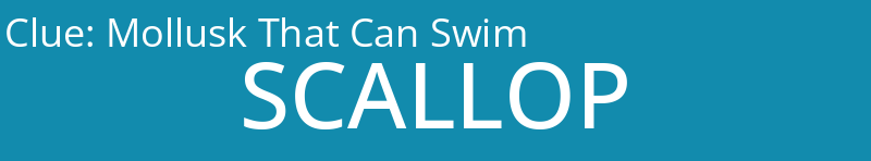 Mollusk That Can Swim