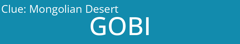 Mongolian Desert