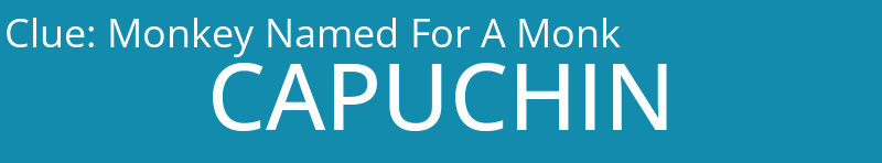 Monkey Named For A Monk