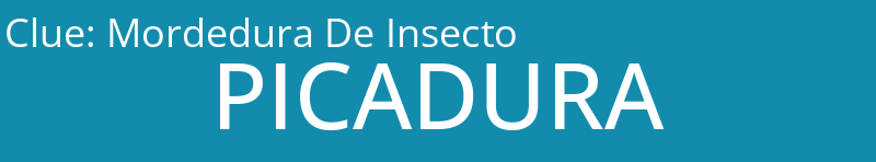 Mordedura De Insecto