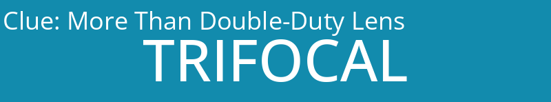 More Than Double-Duty Lens