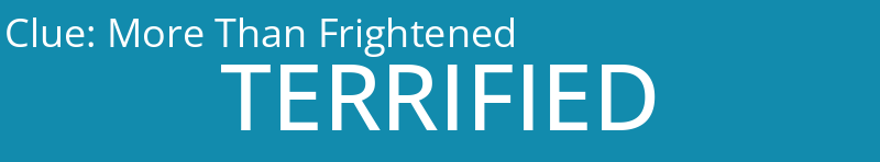 More Than Frightened