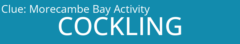 Morecambe Bay Activity