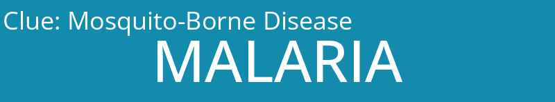 Mosquito-Borne Disease 
