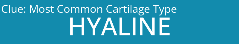 Most Common Cartilage Type
