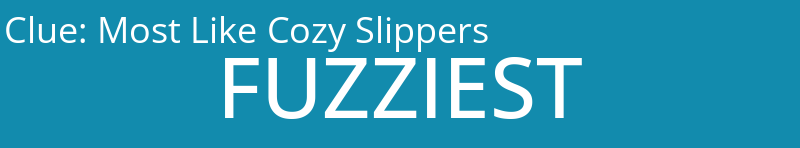 Most Like Cozy Slippers