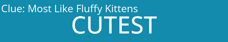 Most Like Fluffy Kittens