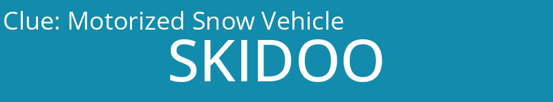 Motorized Snow Vehicle