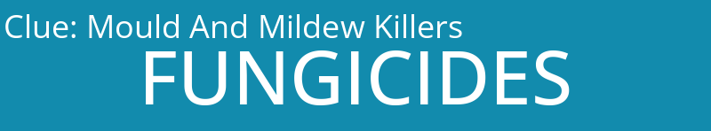 Mould And Mildew Killers