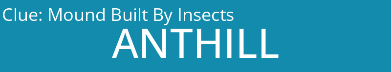 Mound Built By Insects