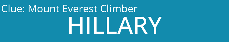 Mount Everest Climber