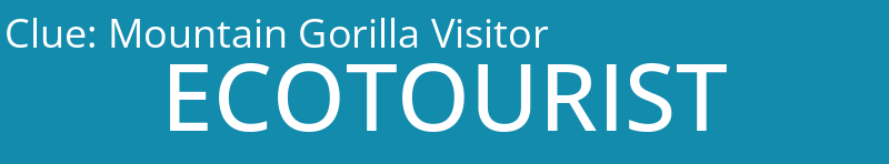 Mountain Gorilla Visitor