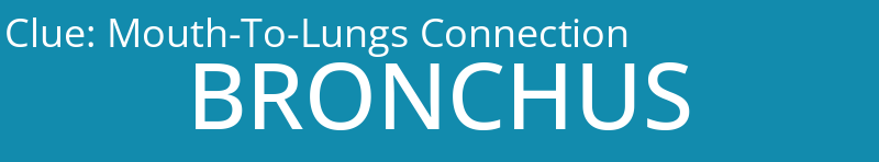 Mouth-To-Lungs Connection