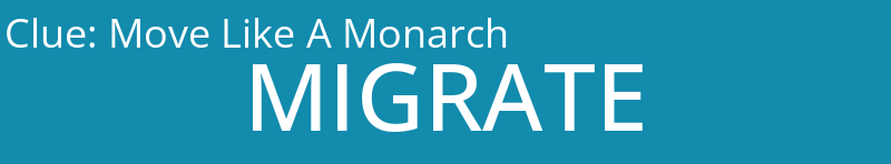 Move Like A Monarch
