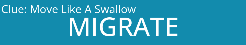 Move Like A Swallow