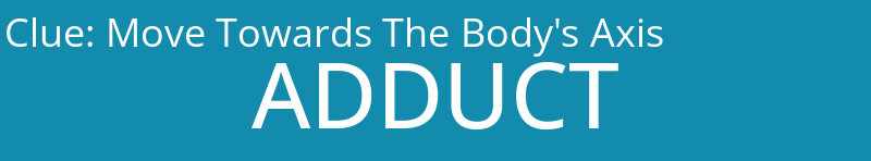 Move Towards The Body's Axis