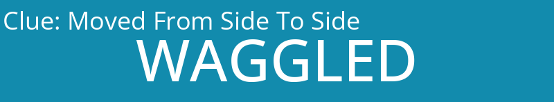 Moved From Side To Side