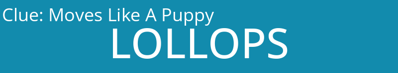 Moves Like A Puppy