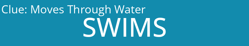 Moves Through Water