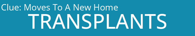 Moves To A New Home