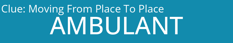 Moving From Place To Place