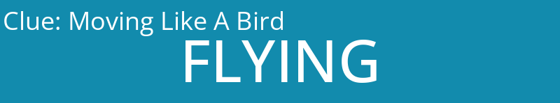 Moving Like A Bird