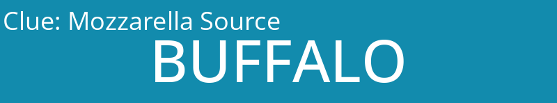 Mozzarella Source