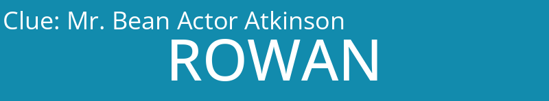 Mr. Bean Actor Atkinson