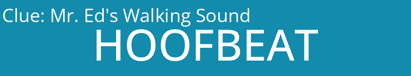 Mr. Ed's Walking Sound