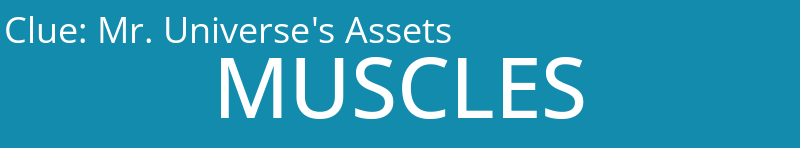 Mr. Universe's Assets