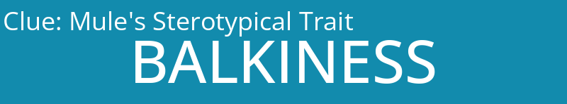 Mule's Sterotypical Trait