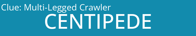 Multi-Legged Crawler