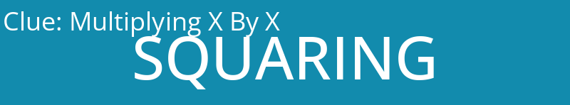 Multiplying X By X