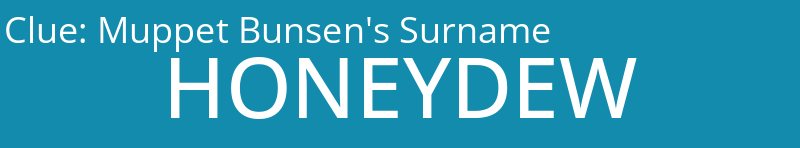 Muppet Bunsen's Surname