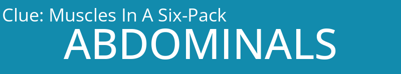 Muscles In A Six-Pack