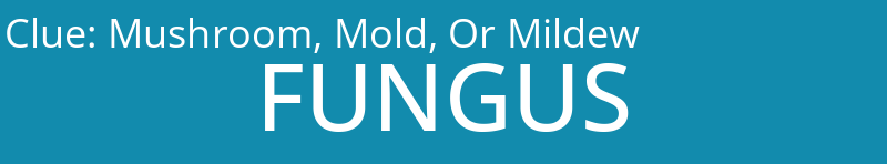 Mushroom, Mold, Or Mildew